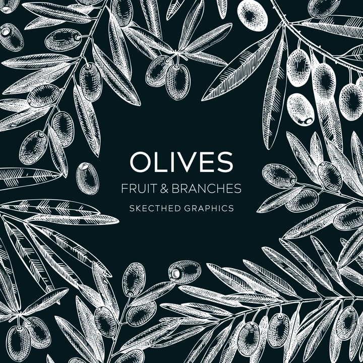 Olives frame design. Olive tree branches sketches. Mediterranean food menu template on chalkboard. Hand-drawn vector illustration. NOT AI generated.